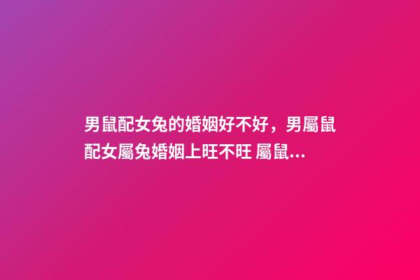 男鼠配女兔的婚姻好不好，男屬鼠配女屬兔婚姻上旺不旺 屬鼠男和屬兔女相配嗎-第1張-觀點-玄機派